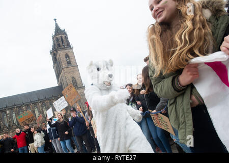 Magdeburg, Germany. 15th Mar, 2019. Students and an activist dressed as a polar bear demonstrate at the Fridays for Future rally. The Magdeburg Cathedral can be seen in the background. In Magdeburg, pupils and students gathered in the morning with banners and loud music to demonstrate for better climate protection. Under the motto #FridaysForFuture, around 1700 rallies in around 100 countries worldwide are on the programme, including various German cities. Credit: Klaus-Dietmar Gabbert/dpa-Zentralbild/dpa/Alamy Live News Stock Photo
