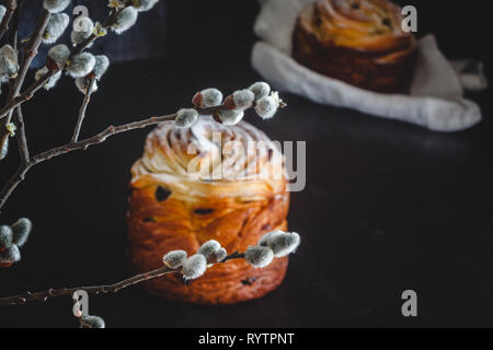 Easter cake kranch with icing sugar on a dark background and with willow flowers. Stock Photo