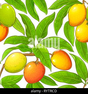 mango vector pattern on white background Stock Vector