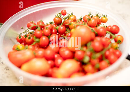 Cherry Tomato on a bowl Stock Photo