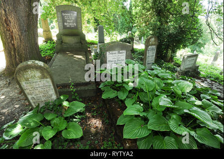 Cimitirul evenghelic (Lutheran cemetery) on Hilltop School in Cetatea Sighisoara (fortified historic centre of Sighisoara) built in XII century by Tra Stock Photo