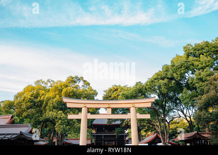 Meiji Jingu shrine Torii gate in Tokyo, Japan Stock Photo