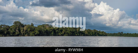 Panoramic view of Coati Lagoon near the Javari River, the tributary of the Amazon River, Amazonia. Selva on the border of Brazil and Peru. South Ameri Stock Photo