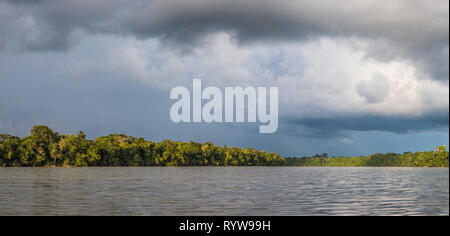 Panoramic view of Coati Lagoon near the Javari River, the tributary of the Amazon River, Amazonia. Selva on the border of Brazil and Peru. South Ameri Stock Photo