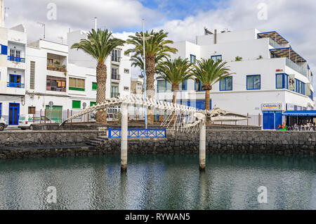 Arrecife, Spain -  November 5, 2018: The whale skeleton (Bryde's whale) common in Lanzarote waters displayed to generate environmental awareness areas Stock Photo