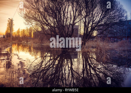 A tree is reflected in a puddle. Spring paintings. Puddles and mud Stock Photo