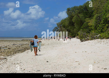 Lady Musgrave Island, Queensland, Australia. 11th Dec, 2012. The Great Barrier Reef Stock Photo