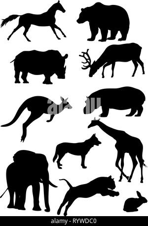 The illustration shows animals, some species of wild mammals. Illustration done in the style of contour drawing, isolated on white background Stock Vector