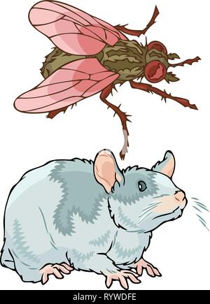 Vector illustration shows animals and insects pests. It is a fly and a rat, isolated on a white background. Stock Vector