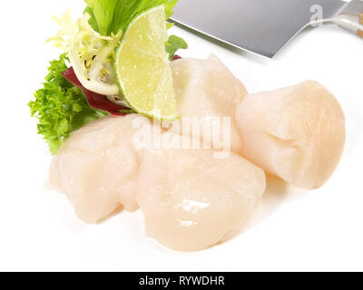 Scallops on white Background Stock Photo