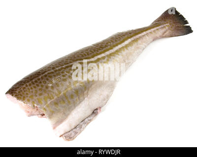 Uncooked Raw cod whole fish on marble board with thyme. Isolated on ...