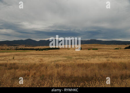 Royalla, New South Wales, Australia. 12th Jan, 2013. Australian landscape Stock Photo