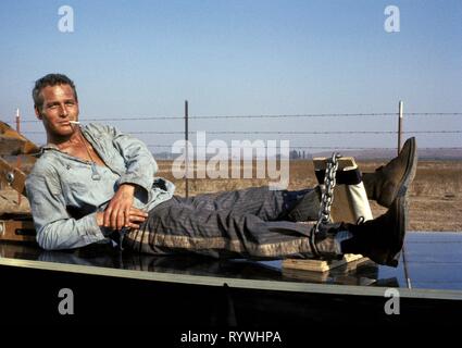 PAUL NEWMAN, COOL HAND LUKE, 1967 Stock Photo