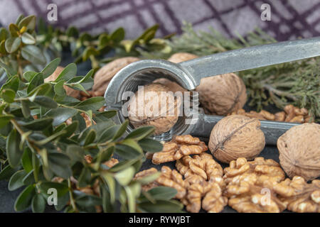 Walnut kernels near whole nuts on a dark, black background with green branches. Stock Photo