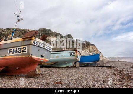 Three fishing boats sit drawn up onto the beach at Beer, Devon. Stock Photo