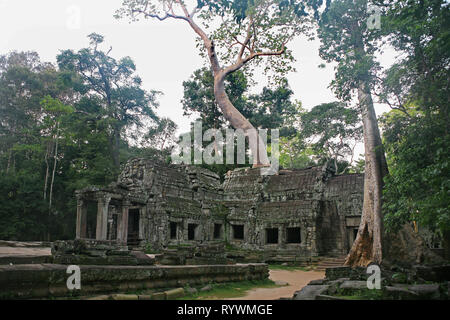 Early morning, eastern gopura (entrance gate) to the inner temple complex, Ta Prohm, Angkor, Siem Reap, Cambodia Stock Photo
