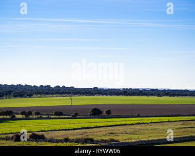 Landscape of a dehesa with blue sky in Salamanca, España Stock Photo