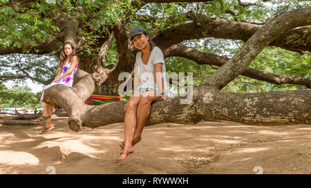 Mother and daughter sittiing on branch of Giant Monkeypod Tree in Kanchanburi Thailand Stock Photo
