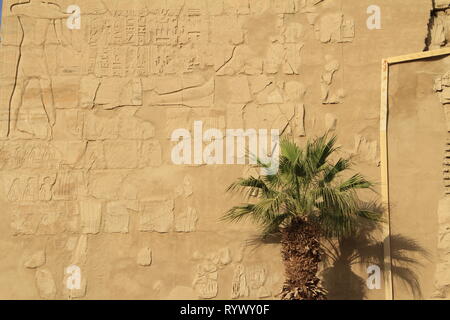 Palm tree and ancient reliefs on the walls within the Karnak Temple Complex, East Bank, Luxor, Egypt Stock Photo