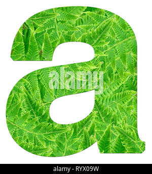 Fern Lettering R letter r with texture of fern leaves, font Helvetica Word, bold Stock ...