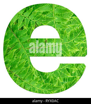 Fern Lettering R letter r with texture of fern leaves, font Helvetica Word, bold Stock ...