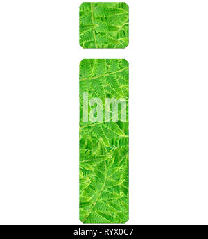 Fern Lettering R letter r with texture of fern leaves, font Helvetica Word, bold Stock ...