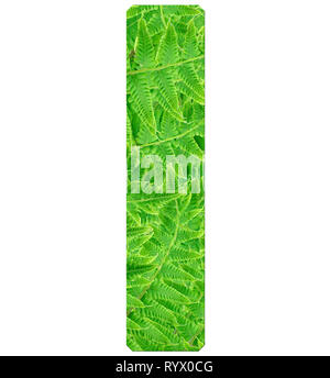 letter r with texture of fern leaves, font Helvetica Word, bold Stock ...