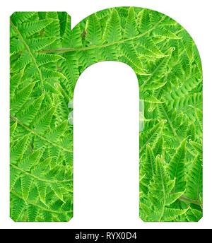 letter r with texture of fern leaves, font Helvetica Word, bold Stock ...