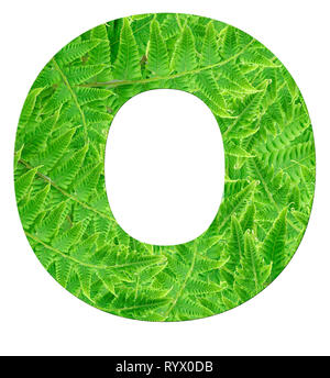 Fern Lettering R letter r with texture of fern leaves, font Helvetica Word, bold Stock ...