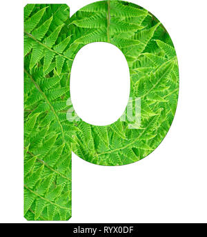 Fern Lettering R letter r with texture of fern leaves, font Helvetica Word, bold Stock ...