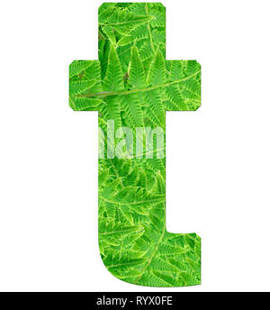 Fern Lettering R letter r with texture of fern leaves, font Helvetica Word, bold Stock ...