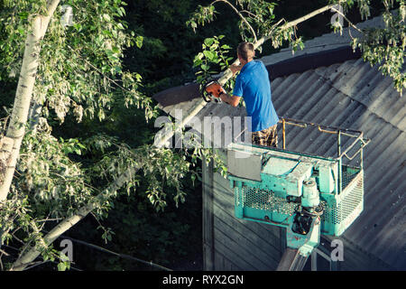 Firefighters on the extendable crane cutting branches of a tree for safety reasons after heavy snowfall Stock Photo