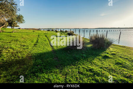 Traces of the wheels of the car on the shore of the lake, cork oaks, bushes and poles of wood in the water wit blue sky in background Stock Photo