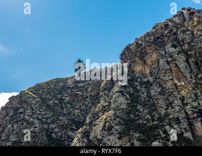 A solitary tree stands alone high up on the edge of a mountain cliff against a blue sky background. Stock Photo