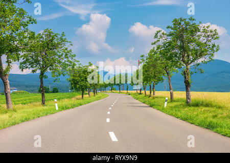 countryside road in to the mountains. trees and rural fields on both sides along the winding way. car ahead in the distance. wonderful sunny weather w Stock Photo