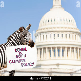 Zebra protest in front of the USA capitol in Washington holding sign saying denial is not a climate policy Stock Photo