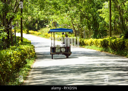 A street vendor is driving a sidecar on a road lined with rich and green vegetation. Krabi Province, Thailand. Stock Photo