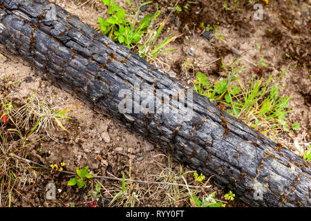 Old disused sand quarry in Doncaster, South Yorkshire. Stock Photo