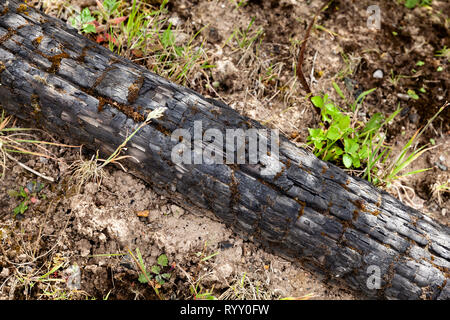 Old disused sand quarry in Doncaster, South Yorkshire. Stock Photo