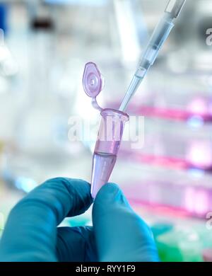 Scientist pipetting a sample into a eppendorf tube during an experiment in the laboratory. Stock Photo