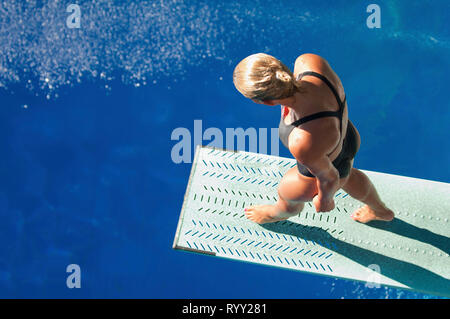 Female diver on springboard. Stock Photo