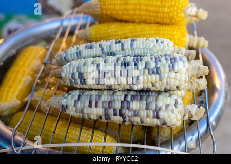 Boiled white and yellow corn for sale on street food market in Thailand , close up Stock Photo