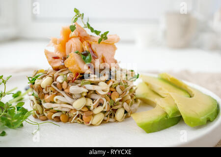 Salad of germinated seeds, trout and avocado. Macrobiotic food concept. Stock Photo