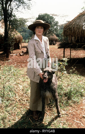 STREEP,DOG, OUT OF AFRICA, 1985 Stock Photo