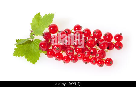 Red currant with green leaves isolated on white background Stock Photo