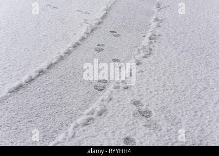 a ground covered with fresh snow and a print of human footsteps, snow texture, white wallpaper, winter background Stock Photo