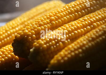 Bucharest, Romania - October 10, 2018: Boiled corn on cobs for sale on the street market stall, in Bucharest, Romania. Stock Photo