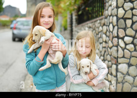 Two cute young sisters holding small white puppies outdoors. Kids playing with baby dogs on summer day. Domestic animals and pets for children. Stock Photo