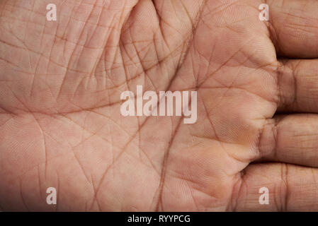 Lines on human hand palm close up view Stock Photo