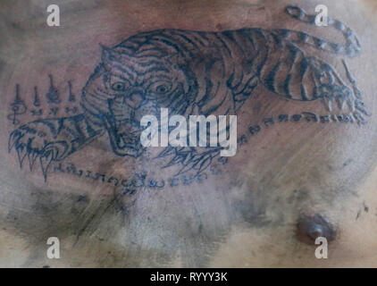 Nice Tiger Tattoo  9GAG